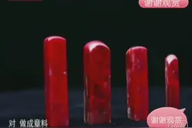 大叔12万赌石买块石头，20年后开出来鉴宝！专家：废料都值150万视频封面