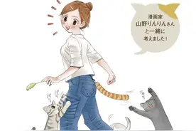 爱猫人士必备：耐抓又有猫尾玩具的喵咪人气牛仔裤图片