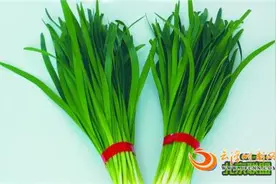 韭菜 这传说中的壮阳草也有禁忌图片