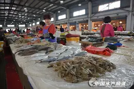 浙江舟山市嵊泗：海鲜价格略涨 菜篮子夏季供应即将推出图片