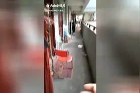 「大召唤术」吹声口哨，老远地召唤来一只鸟，养鸟的至高境界