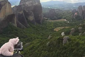 澳男子为寻玩具兔 携小猪公仔游世界图片