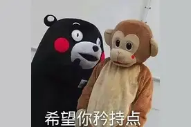 脑洞 | 熊本熊和二胡卵子：你们村的吉祥物怎么命名？图片