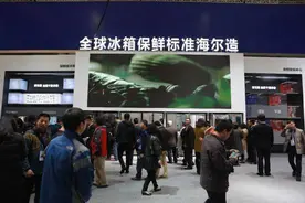 海尔冰箱本土化战略在印度实现销量增幅25%图片