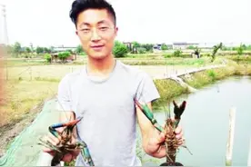 25万尾澳洲淡水龙虾德阳“安家”图片