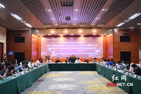 国际矿物宝石电子商务交易平台在郴州启动图片