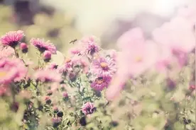 520，八位检察官诗人用情诗为爱人表白｜诗歌集结号图片