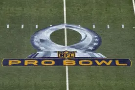消息：NFL或将职业碗搬迁至奥兰多图片