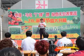 衡水枣强邀八方宾客到乡村采摘 瓜果香甜乐开怀图片