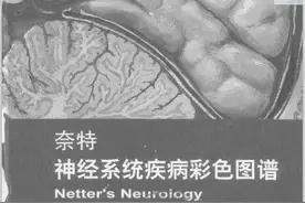 奈特神经系统疾病彩色图谱图片