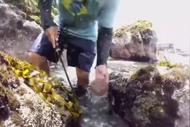 海边捡海胆，打开就吃，不怕有寄生虫吗？