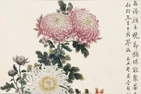心素如简，人淡如菊！图片