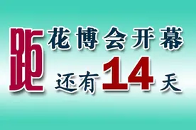 政策解读东海县党员干部婚丧嫁娶喜庆事宜政策解读图片