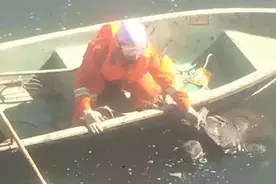 滦平县城橡胶坝捞起一具女尸！图片