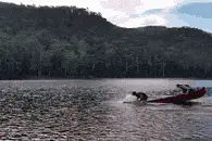 划船不用桨，一生全靠浪！图片