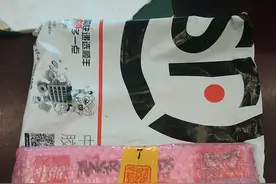 LEGO 乐高 Angry Birds系列 75822小猪的飞机偷袭 众测体验图片