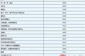 多省公布平均工资 2015年全国各省份平均工资表图片