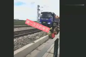 火车道上跑汽车，这驾照该怎么考！视频封面