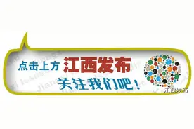 县区万载百合花海盛开如画，更美的是︱珠山这个社区竟把党课开进了小家庭图片