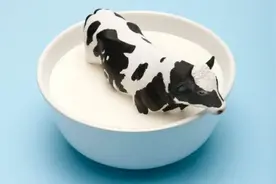 现代牧业净利腰斩 特大牧场模式受考验图片