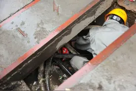 困在电缆井的小猫得救了 新昌大姐风雨无阻喂它一年图片