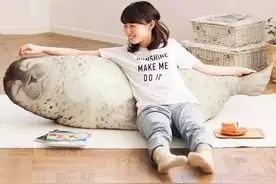 剁手深夜孤单难入眠？萌萌海豹陪你睡~图片