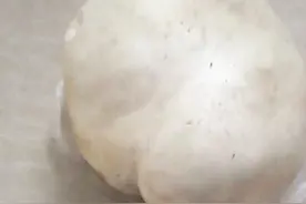 村民采到巨型蘑菇图片