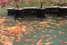 一副动图看透中国2B IT创业真相!图片