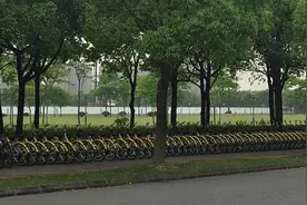北大“小黄车”入驻复旦，扫码使用校园内单次封顶2元图片