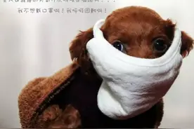 雾霾—“haze”OR“ smog”|美国留学图片