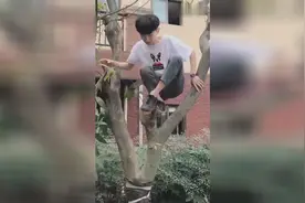 奇葩兄妹上树拍照囧事视频封面