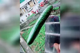 教你用一根黄瓜就让女朋友高兴起来