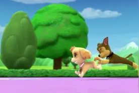 汪汪队立大功：莱德和汪汪队，需要帮小海龟安全过马路视频封面