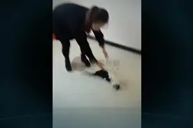 转猫和转狗的区别，狗子为什么不晕呢？