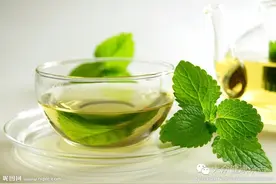 茶饮料能替代现泡茶吗？图片