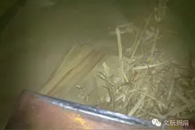 夏天到了，自己做一把折扇吧，其实您也是可以的！图片