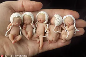 澳大利亚：约70头虎鲨聚集 场面壮观图片