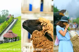 清境农场：从青青草原到小瑞士花园图片