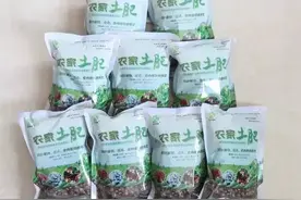 你以为是垃圾 桐庐人却让TA进驻了超市图片