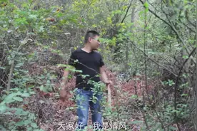 深山无路，小伙自己开辟一条路进山挖野菜视频封面