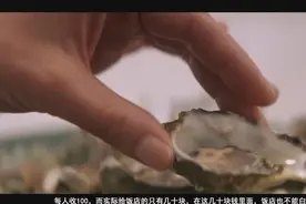 旅游团的内幕，吃海鲜为什么那么便宜？看完想说我去