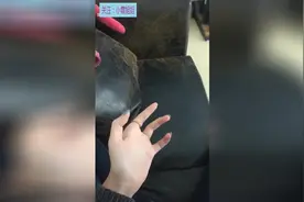 天生只有三个指头，但是并没有影响我的生活视频封面