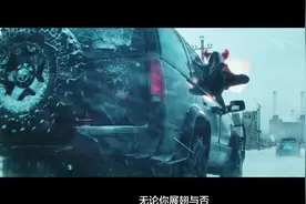 我老婆这么厉害，我一点都不知道视频封面
