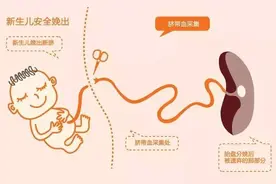 脐带血存储有“门道”，你应该知道这些图片