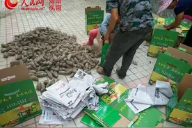 十天销近万斤 滞销毛薯借网"飞出"黎族山乡图片