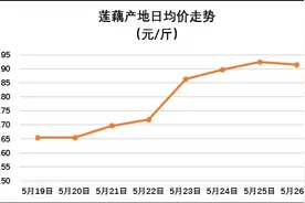 2016年5月26日莲藕市场与产地行情：双双走高图片