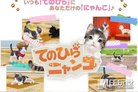 超真实的猫咪育成手游 《掌中猫咪》开启提前预约登记图片