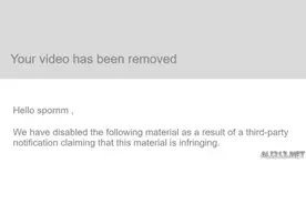 《守望先锋》成人网站视频遭清理 暴雪：不是我干的图片