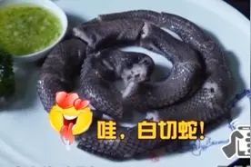广东名厨制作椒盐白切反骨蛇讲解详细步骤，非常好食哦！视频封面