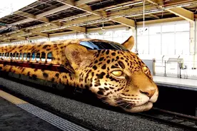 世界上最快的10大高速列车，感受一下什么才叫速度！